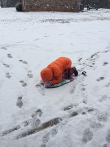 A beach boogie board makes a good sled!